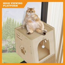 Cat tree house, climbing