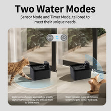 Cat water and food dispenser automatic