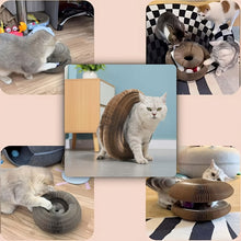 لعبة قطط، لوحة خدش للقطط من ماجيك أورجان،