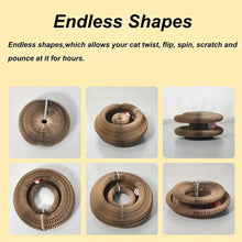 لعبة قطط، لوحة خدش للقطط من ماجيك أورجان،