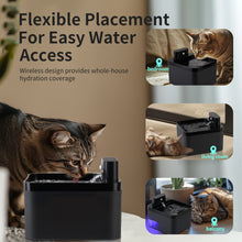 Cat water and food dispenser automatic