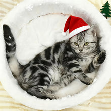 Noddle ramen cat bed nest cushion