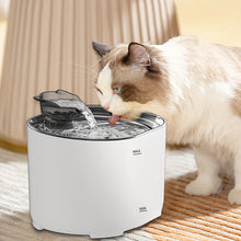 Cat Water Fountain 2.2L/74oz