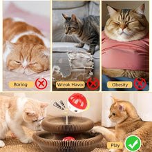 لعبة قطط، لوحة خدش للقطط من ماجيك أورجان،