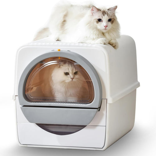 Automatic self cleaning litter